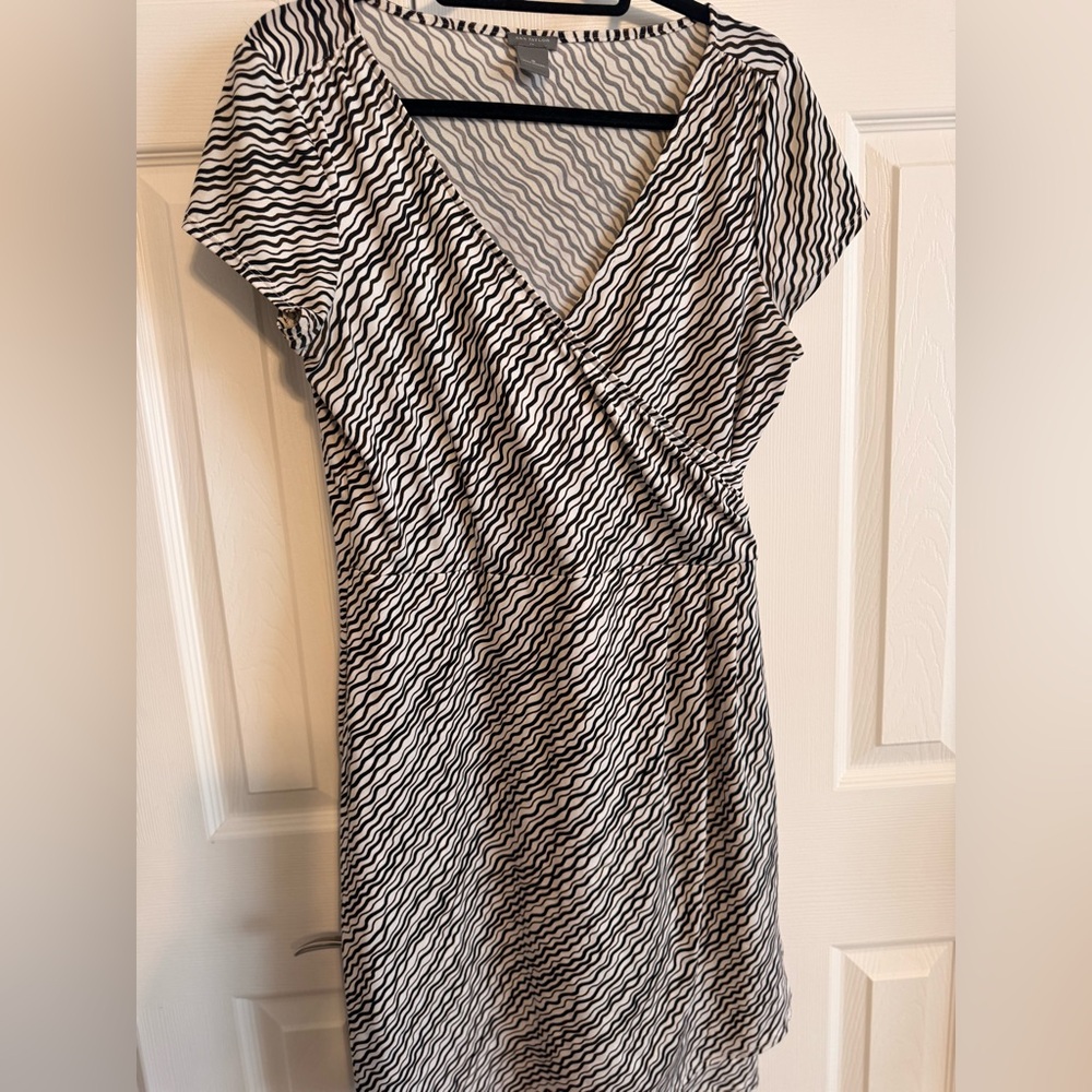 Ann Taylor Zebra Print Dress in Black and White